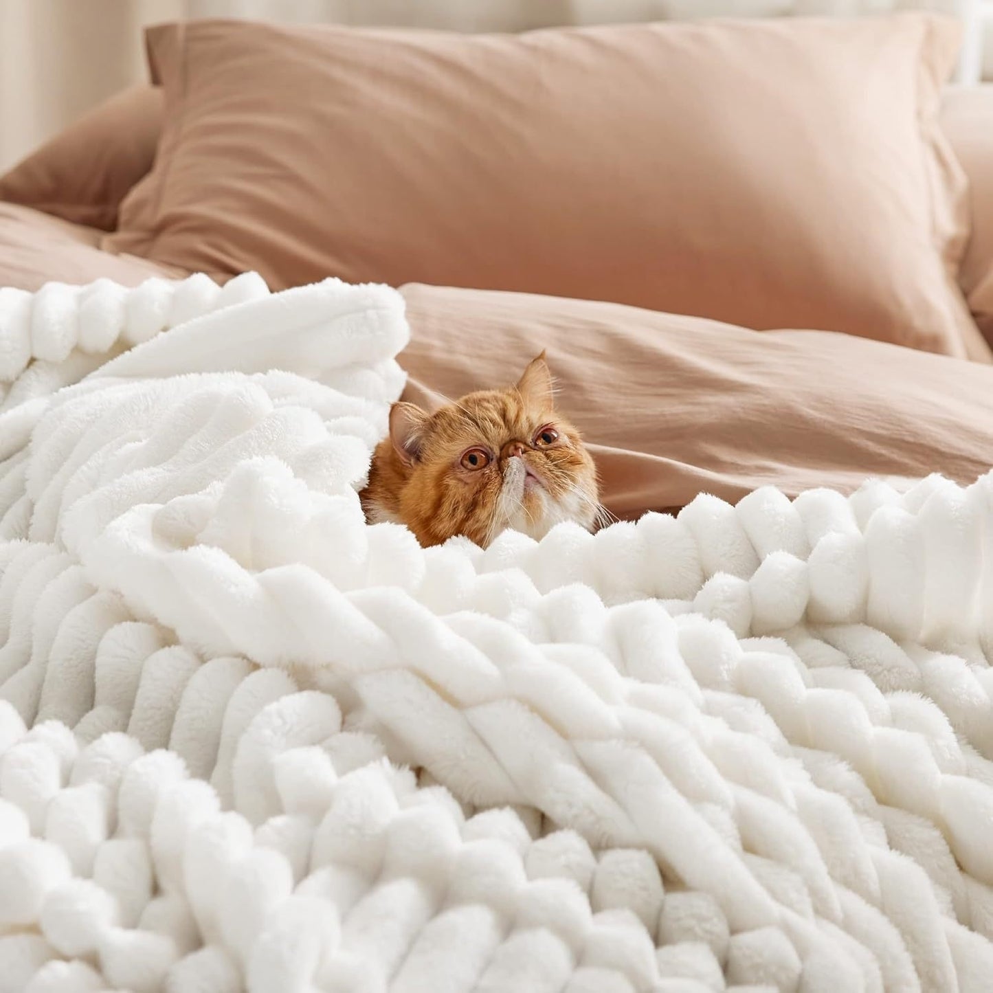 Luxury Plush Throw Blanket  | Ultra Soft Warm Fleece for Bed & Sofa